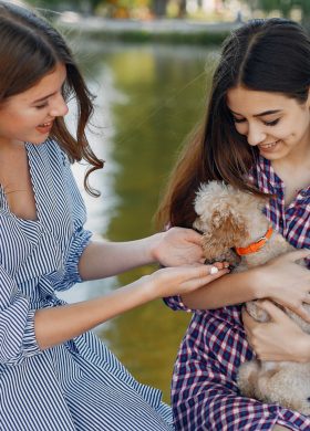 Beautiful girl in a blue dress. Women in a summer park. Ladies with a dog