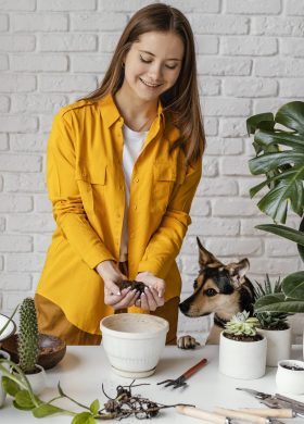 woman-yellow-shirt-gardening-indoors